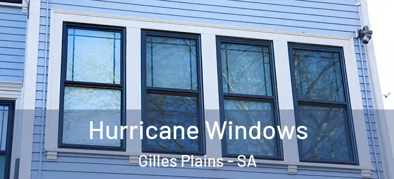 Hurricane Windows Gilles Plains - SA