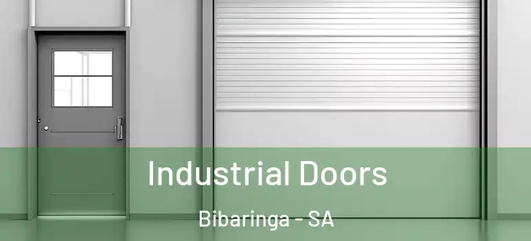 Industrial Doors Bibaringa - SA