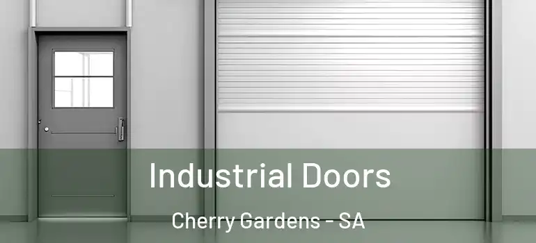 Industrial Doors Cherry Gardens - SA