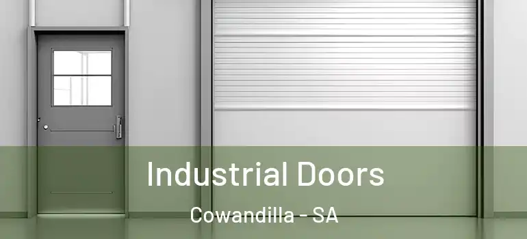 Industrial Doors Cowandilla - SA