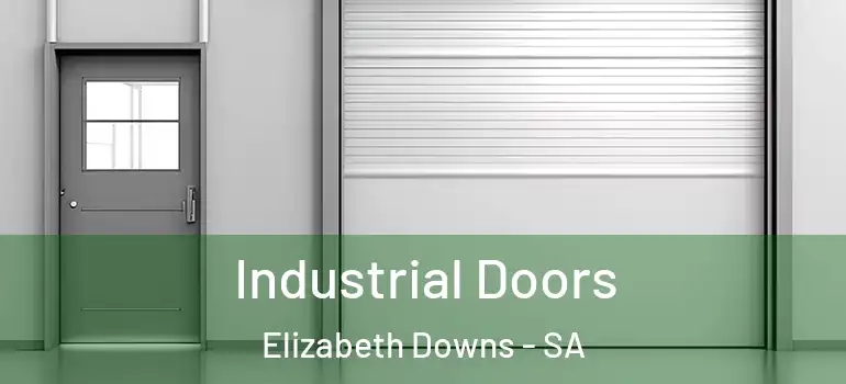 Industrial Doors Elizabeth Downs - SA
