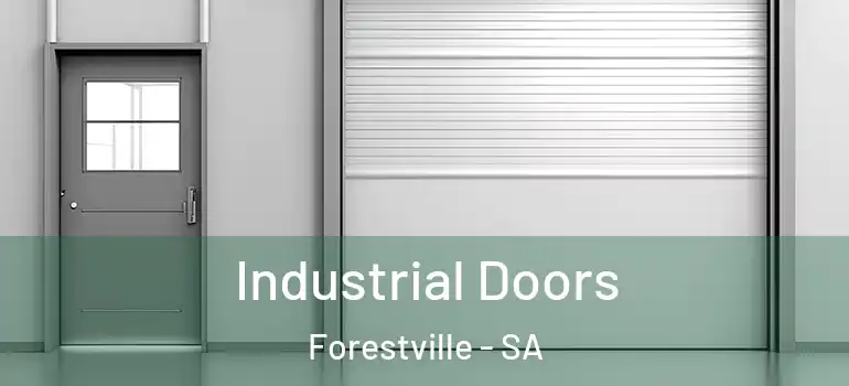 Industrial Doors Forestville - SA