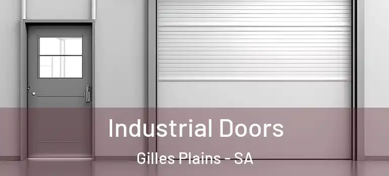  Industrial Doors Gilles Plains - SA