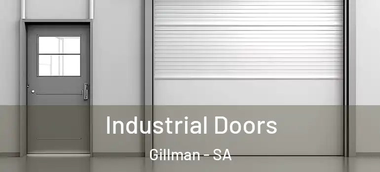  Industrial Doors Gillman - SA