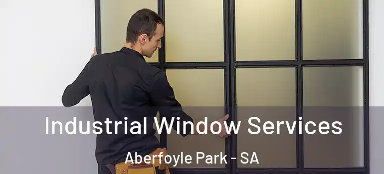 Industrial Window Services Aberfoyle Park - SA