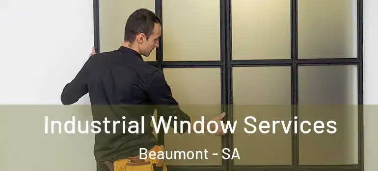 Industrial Window Services Beaumont - SA