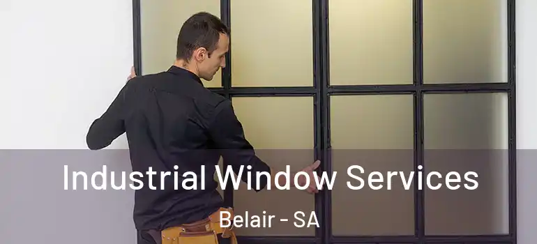 Industrial Window Services Belair - SA