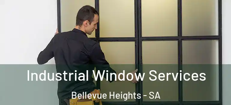Industrial Window Services Bellevue Heights - SA