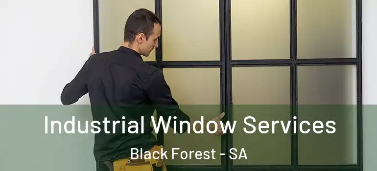 Industrial Window Services Black Forest - SA