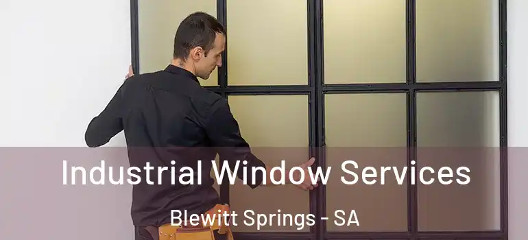 Industrial Window Services Blewitt Springs - SA