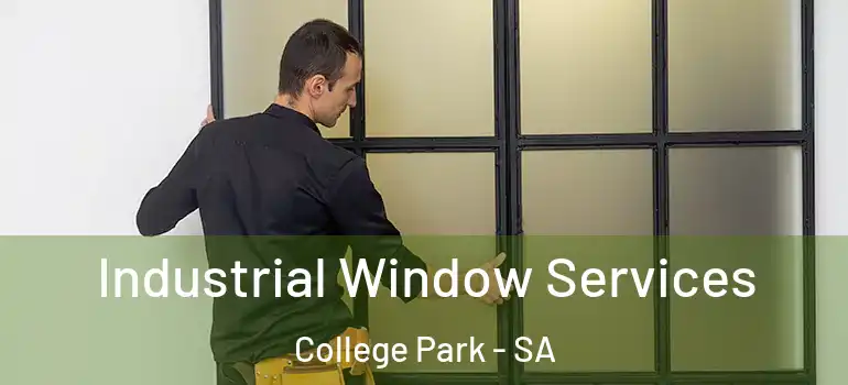 Industrial Window Services College Park - SA