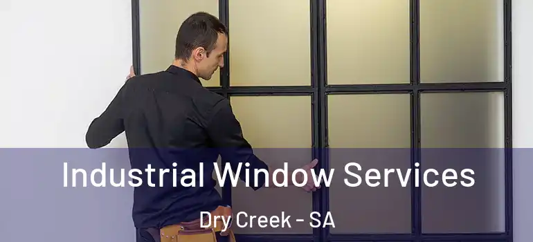 Industrial Window Services Dry Creek - SA