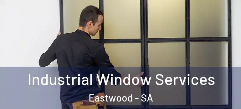 Industrial Window Services Eastwood - SA