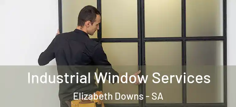 Industrial Window Services Elizabeth Downs - SA