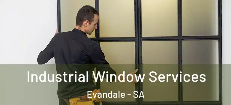 Industrial Window Services Evandale - SA