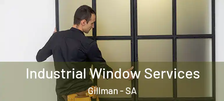 Industrial Window Services Gillman - SA