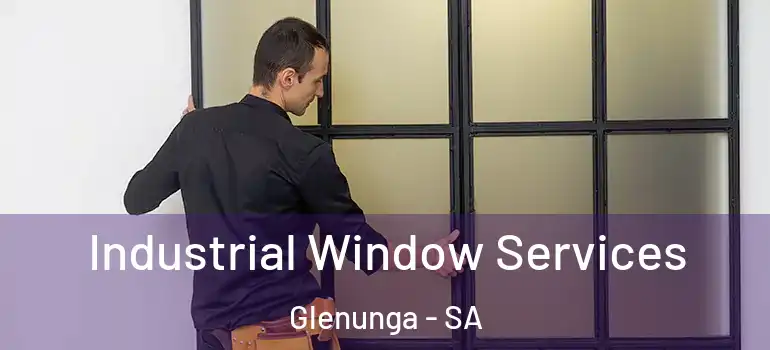 Industrial Window Services Glenunga - SA