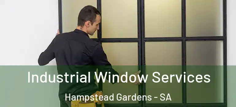 Industrial Window Services Hampstead Gardens - SA