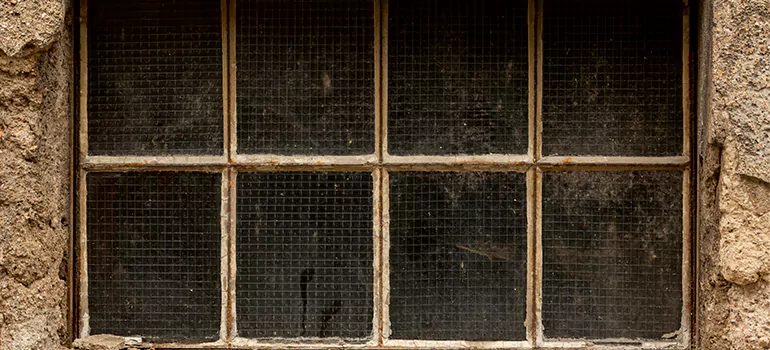 Traditional Double Front Doors in Adelaide, South Australia