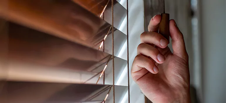 Double Roller Blinds in Adelaide, South Australia