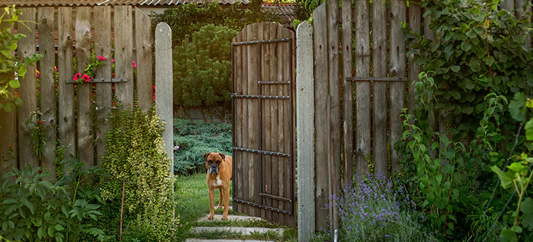 Winter Garden Garage Door Repair in Hackham West,South Australia