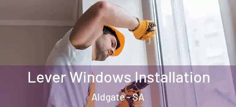  Lever Windows Installation Aldgate - SA