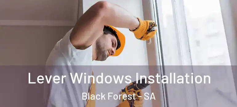 Lever Windows Installation Black Forest - SA