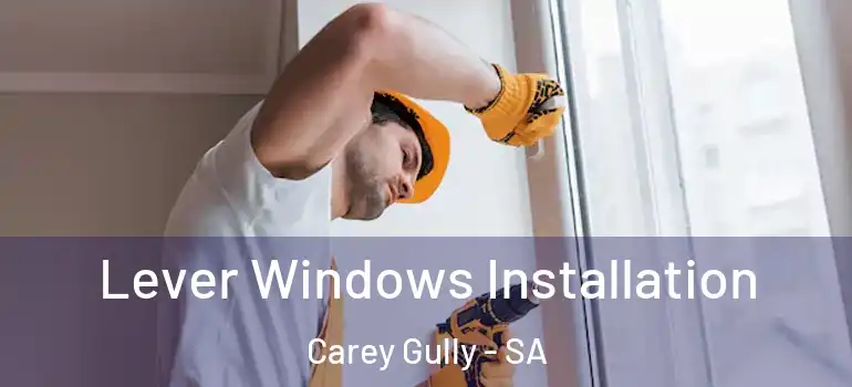 Lever Windows Installation Carey Gully - SA