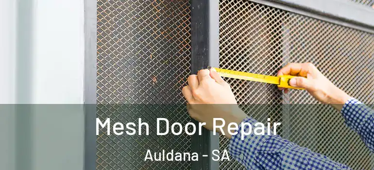Mesh Door Repair Auldana - SA