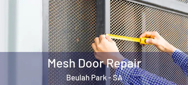 Mesh Door Repair Beulah Park - SA