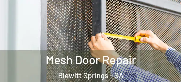 Mesh Door Repair Blewitt Springs - SA
