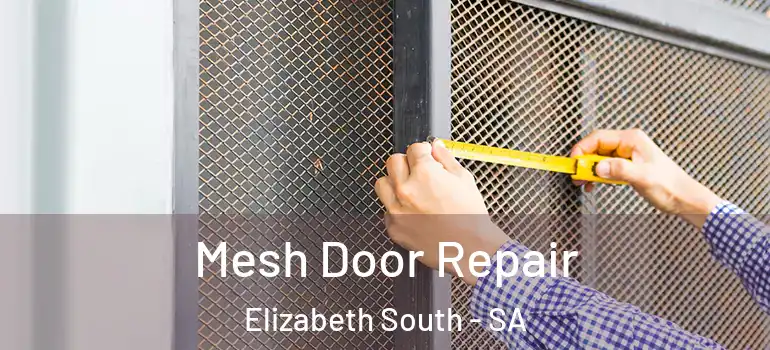 Mesh Door Repair Elizabeth South - SA