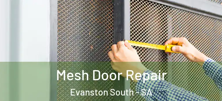 Mesh Door Repair Evanston South - SA