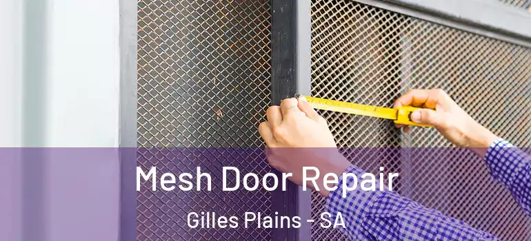 Mesh Door Repair Gilles Plains - SA