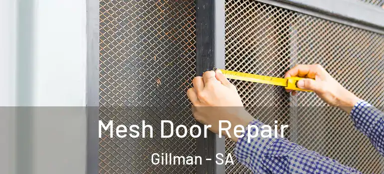 Mesh Door Repair Gillman - SA