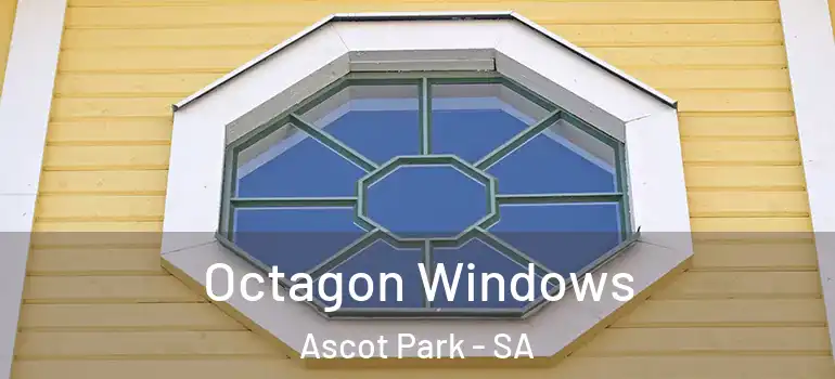 Octagon Windows Ascot Park - SA