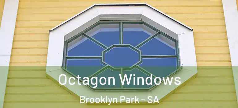  Octagon Windows Brooklyn Park - SA