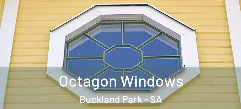  Octagon Windows Buckland Park - SA