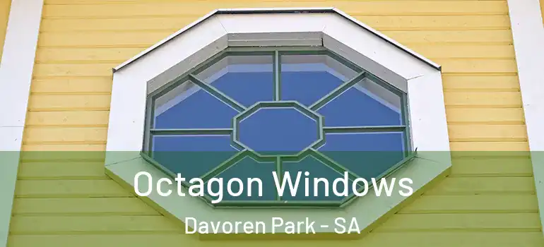  Octagon Windows Davoren Park - SA