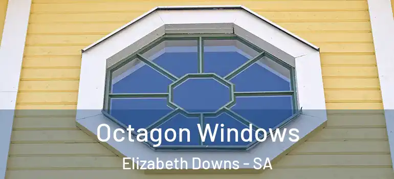 Octagon Windows Elizabeth Downs - SA
