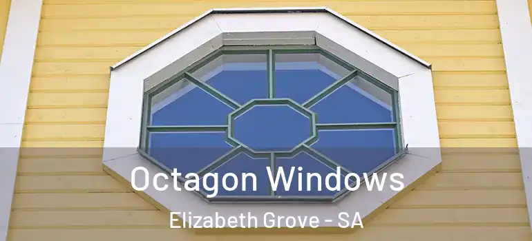 Octagon Windows Elizabeth Grove - SA