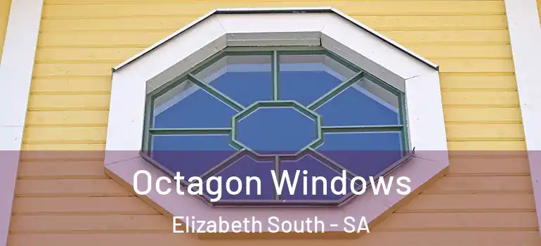 Octagon Windows Elizabeth South - SA