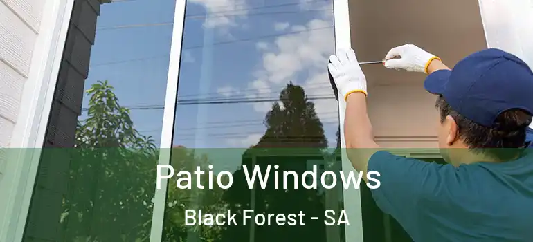 Patio Windows Black Forest - SA