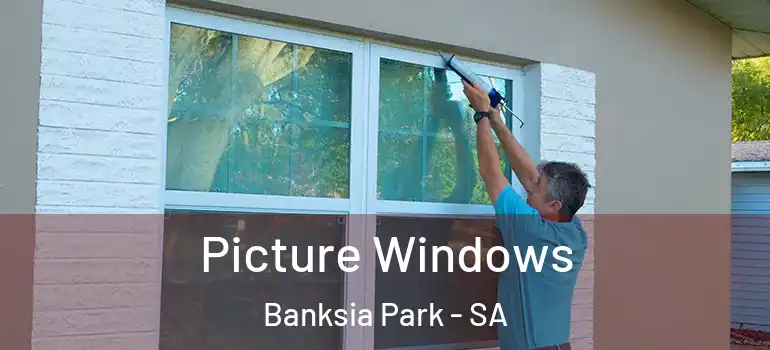 Picture Windows Banksia Park - SA