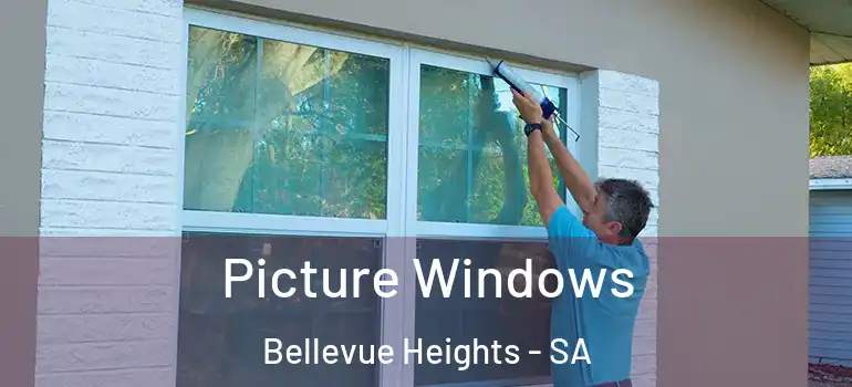 Picture Windows Bellevue Heights - SA