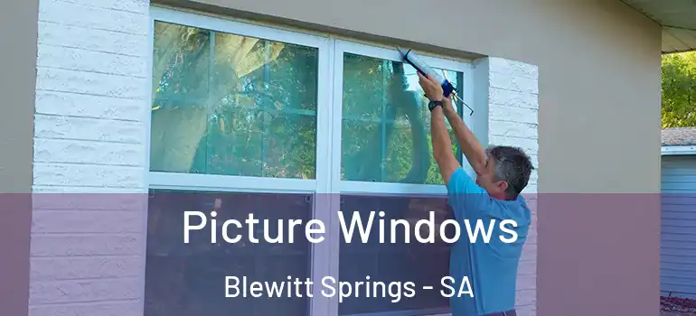Picture Windows Blewitt Springs - SA