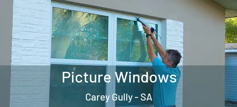 Picture Windows Carey Gully - SA