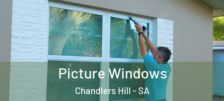 Picture Windows Chandlers Hill - SA