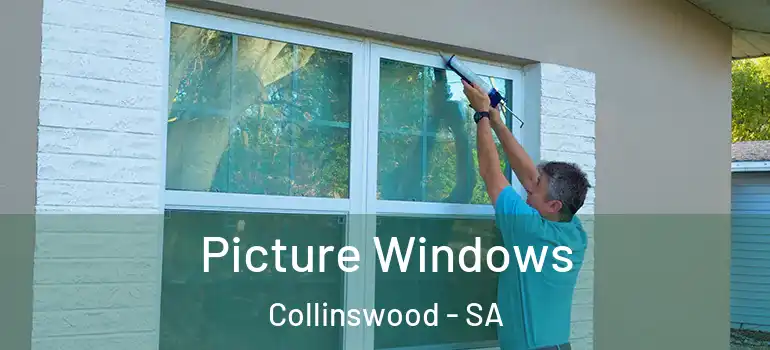 Picture Windows Collinswood - SA