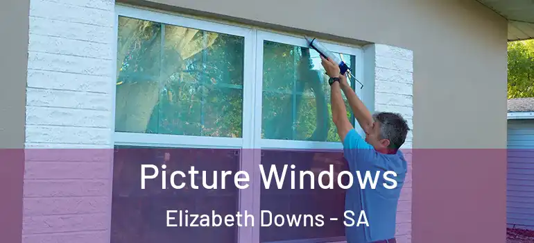 Picture Windows Elizabeth Downs - SA